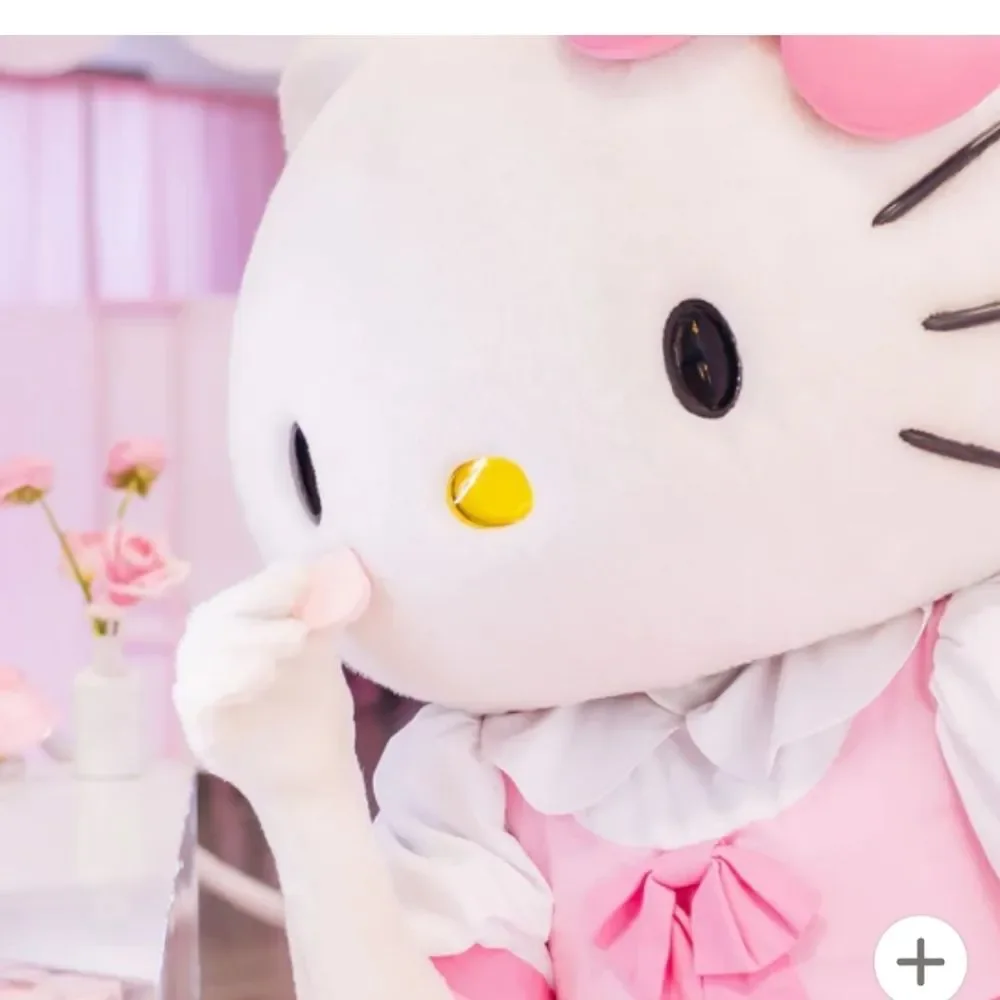 Impressions X Hello Kitty 12-Piece Sponge Set‎